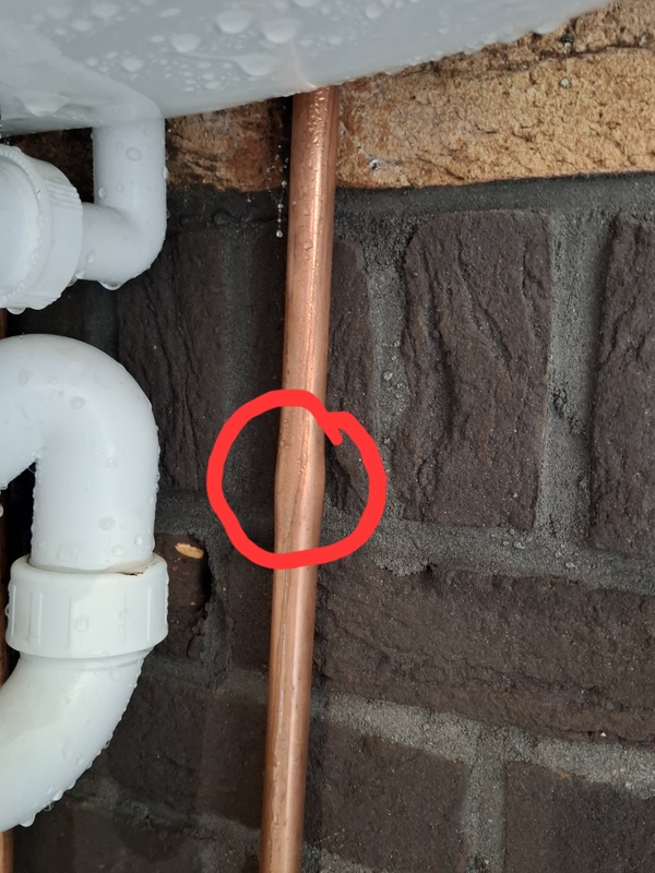 Afbeeldingslocatie: https://tweakers.net/i/pEOyHTi0G7Wu53P2M0igH-y-DhA=/x800/filters:strip_icc():strip_exif()/f/image/3TDIhje2huERg1mMY9N7LkFL.jpg?f=fotoalbum_large