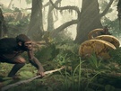 Ancestors The Humankind Odyssey