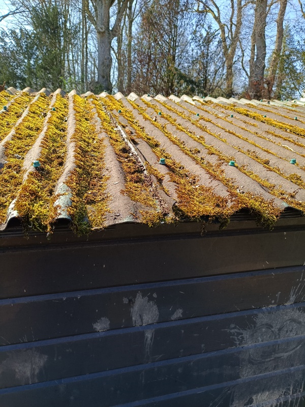 Afbeeldingslocatie: https://tweakers.net/i/pJ-LNWVAlPHTnR4Alt3ZxX_df7Y=/x800/filters:strip_icc():strip_exif()/f/image/V1nR3hUheTt0MXHZZJtoi8Ea.jpg?f=fotoalbum_large