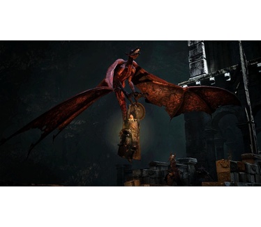 Dragon's Dogma: Dark Arisen, Switch