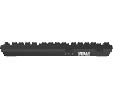 HelloG HS75T Bl Gat Yellow RGB WL US