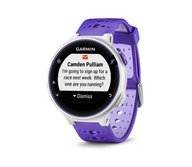 Garmin Forerunner 230 Paars (Paars)