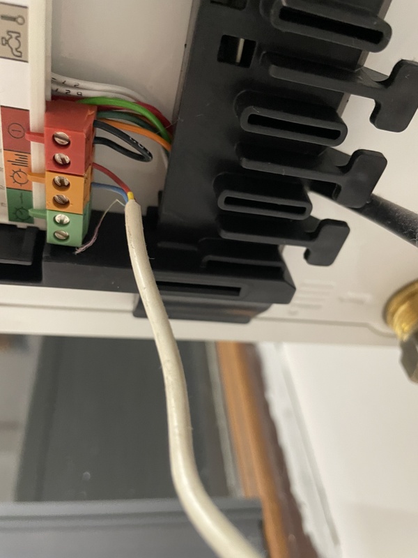 Afbeeldingslocatie: https://tweakers.net/i/pOYCcwrB2v8h0afTz4nt_UC85eg=/x800/filters:strip_icc():strip_exif()/f/image/wCq6jUCspCEmDXe1G4NCZMcG.jpg?f=fotoalbum_large