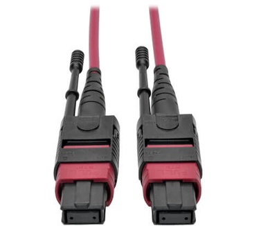 Tripp-Lite N845-02M-12-MG Magenta, Zwart