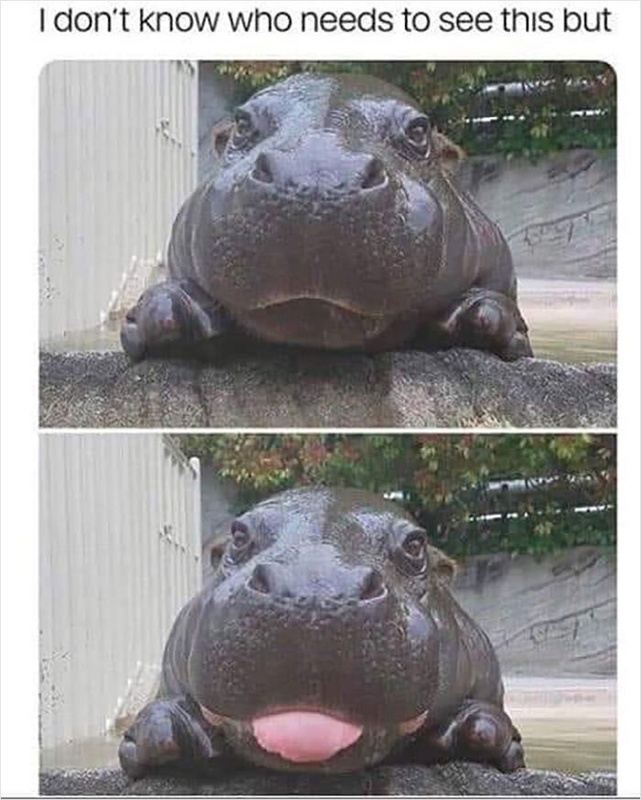 Afbeeldingslocatie: https://tweakers.net/i/pOkSsloCKhVlrKPV9rmGb1vUkJI=/x800/filters:strip_icc():strip_exif()/f/image/M0ILQF4YY0Uu6d17ssP38Wix.jpg?f=fotoalbum_large