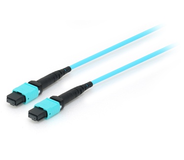 Equip MTP/MTP Trunk Fiber Optic Patch Cable, OM4, 7m