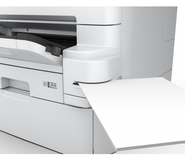 Epson RIPS WF-C879R