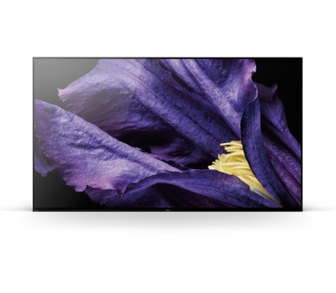 Sony KD-65AF9 Zwart