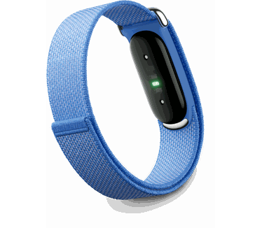 Google Fitbit Air, Zilver (Blauw)