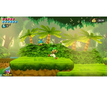 Wonder Boy: Asha In Monster World, PS4