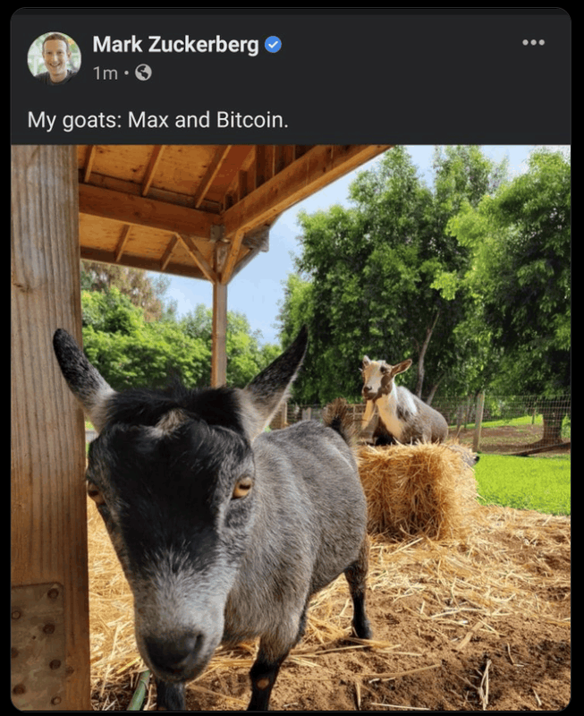 Afbeeldingslocatie: https://tweakers.net/i/pZMN7chIYvXPv_M8MF7LWXLSwoU=/x800/filters:strip_exif()/f/image/mpMEN0WfqI1VJh1QBXiPhqxz.png?f=fotoalbum_large