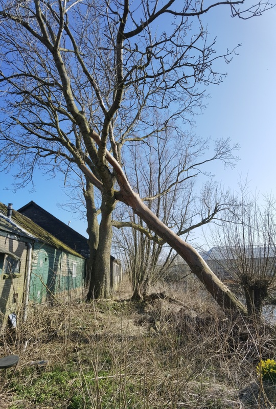 Afbeeldingslocatie: https://tweakers.net/i/pZoWPAW6Q7n6pT6S8jmrP8_aUgg=/x800/filters:strip_icc():strip_exif()/f/image/wJJt6hmsk2rYrKLuUMZOloAP.jpg?f=fotoalbum_large