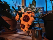 Phone 4a Pro cameratest - Hoofdcamera