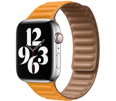 Apple 44mm California Poppy Leather Link - M/L