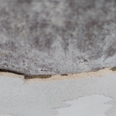 Afbeeldingslocatie: https://tweakers.net/i/paHaAabzKhaxHVtSxmX5WqRt9z8=/232x232/filters:strip_icc():strip_exif()/f/image/I42JgAsisCiU1hg0cgd3lcDr.jpg?f=fotoalbum_tile