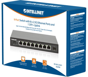 Intellinet 562096