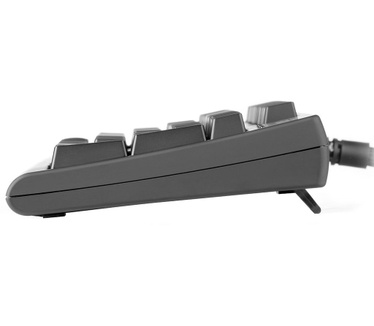Turtle Beach IMPACT 700 (QWERTY)