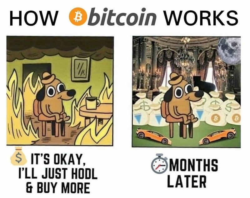 Afbeeldingslocatie: https://tweakers.net/i/piBhj-AzLKq6eYSn6h1N_UF_Zns=/800x/filters:strip_icc():strip_exif()/f/image/Vs659O9Qk6WGdIw2NbgYF6uj.jpg?f=fotoalbum_large