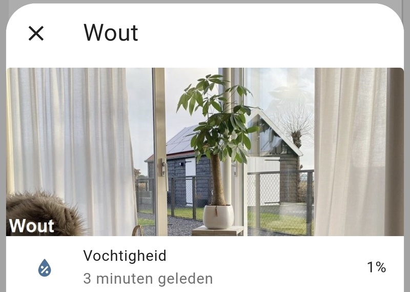 Afbeeldingslocatie: https://tweakers.net/i/pmk5xAEtXauhC0JL0iPd_KI0jqk=/800x/filters:strip_icc():strip_exif()/f/image/5vMCiMmlk5M8wUfuXk9rL38x.jpg?f=fotoalbum_large