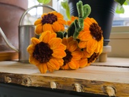 Xiaomi 17 Ultra - 12MP RAW