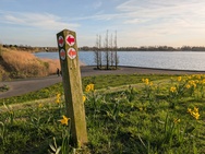 Xiaomi 17 Cameratest - Primair (overdag)