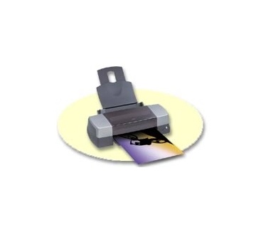 Epson Stylus Photo 1290S