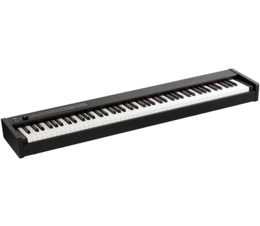 Korg D1