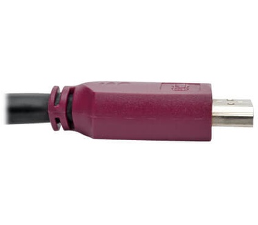 Tripp-Lite P569-006-CERT Zwart