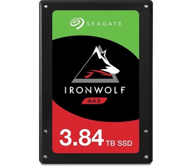 Seagate IronWolf 110 3.84TB (ZA3840NM10011)