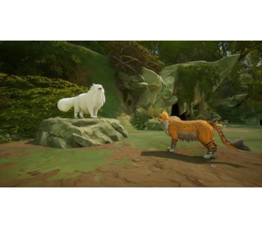 Warrior Cats: Clans of the Forest - Feral Edition, PlayStation 5