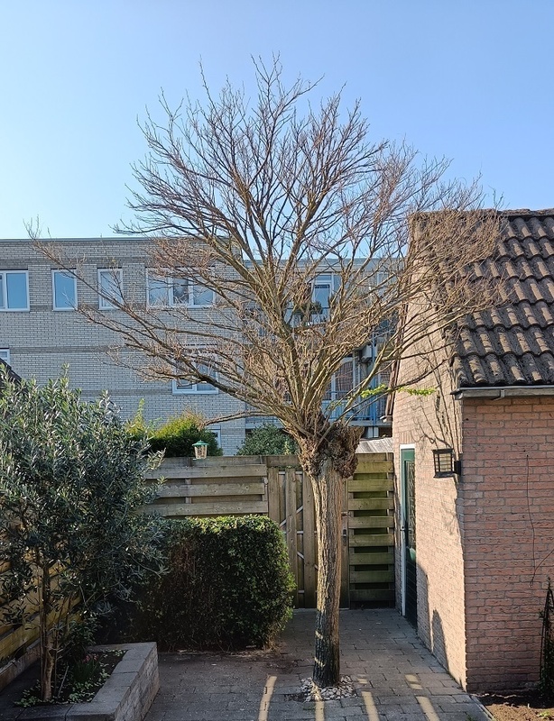 Afbeeldingslocatie: https://tweakers.net/i/prCPNOKNhFweB3GYgdn1z0yz7Ws=/x800/filters:strip_icc():strip_exif()/f/image/9ApqiHlwu8jKVrXiUTi647xb.jpg?f=fotoalbum_large