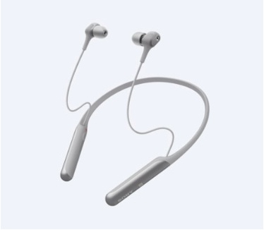 Sony WI-C600N (Grijs)