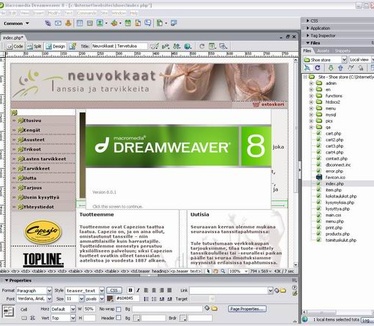 Macromedia Dreamweaver 8.01 screenshot (resized)