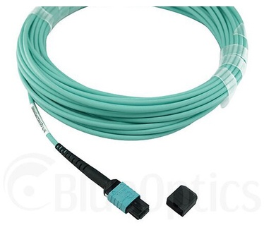 BlueOptics 00VX003-BO