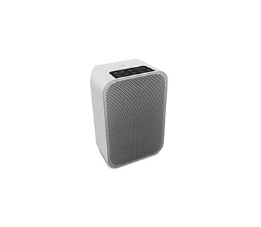 Bluesound Pulse Flex