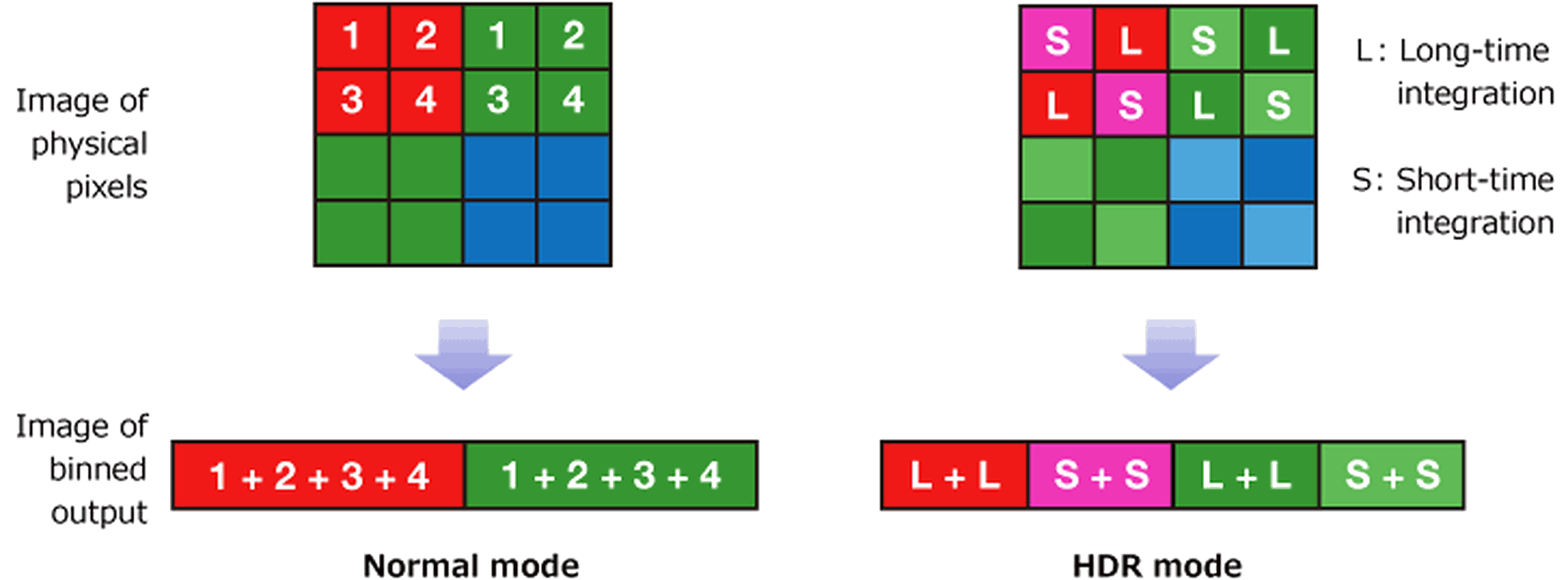 Afbeeldingslocatie: https://tweakers.net/i/pyU-BIIjhmWP-hQhNLRn5JuDxzM=/full-fit-in/4000x4000/filters:no_upscale():fill(white):strip_exif()/f/image/fpeFYQZql6dRhplw3PZ3O5pa.png?f=user_large