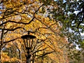 Nikon P6000 sample