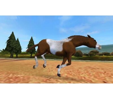 I Love My Horse, 3DS