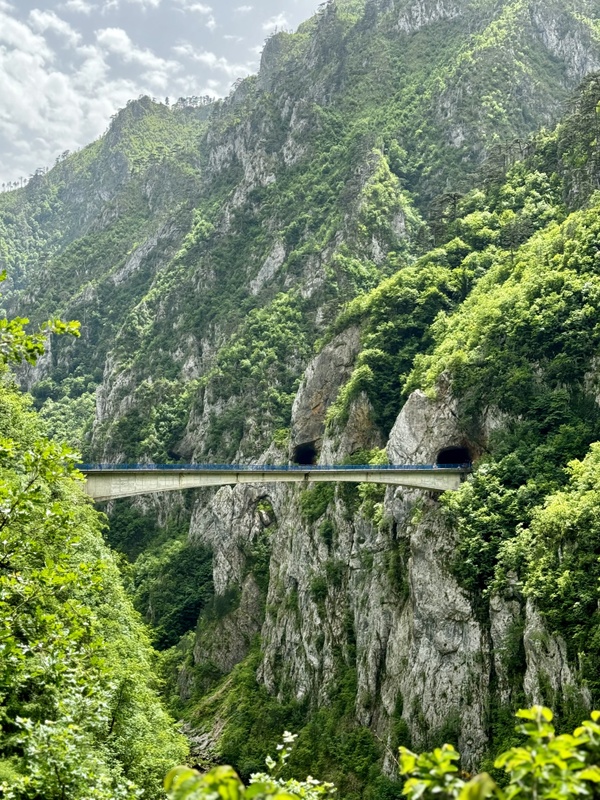 Afbeeldingslocatie: https://tweakers.net/i/pzf0pbawCnibV1BYtLlocOlfsKs=/x800/filters:strip_icc():strip_exif()/f/image/RUhTa2CV1VDQde4BgwfnvnG0.jpg?f=fotoalbum_large