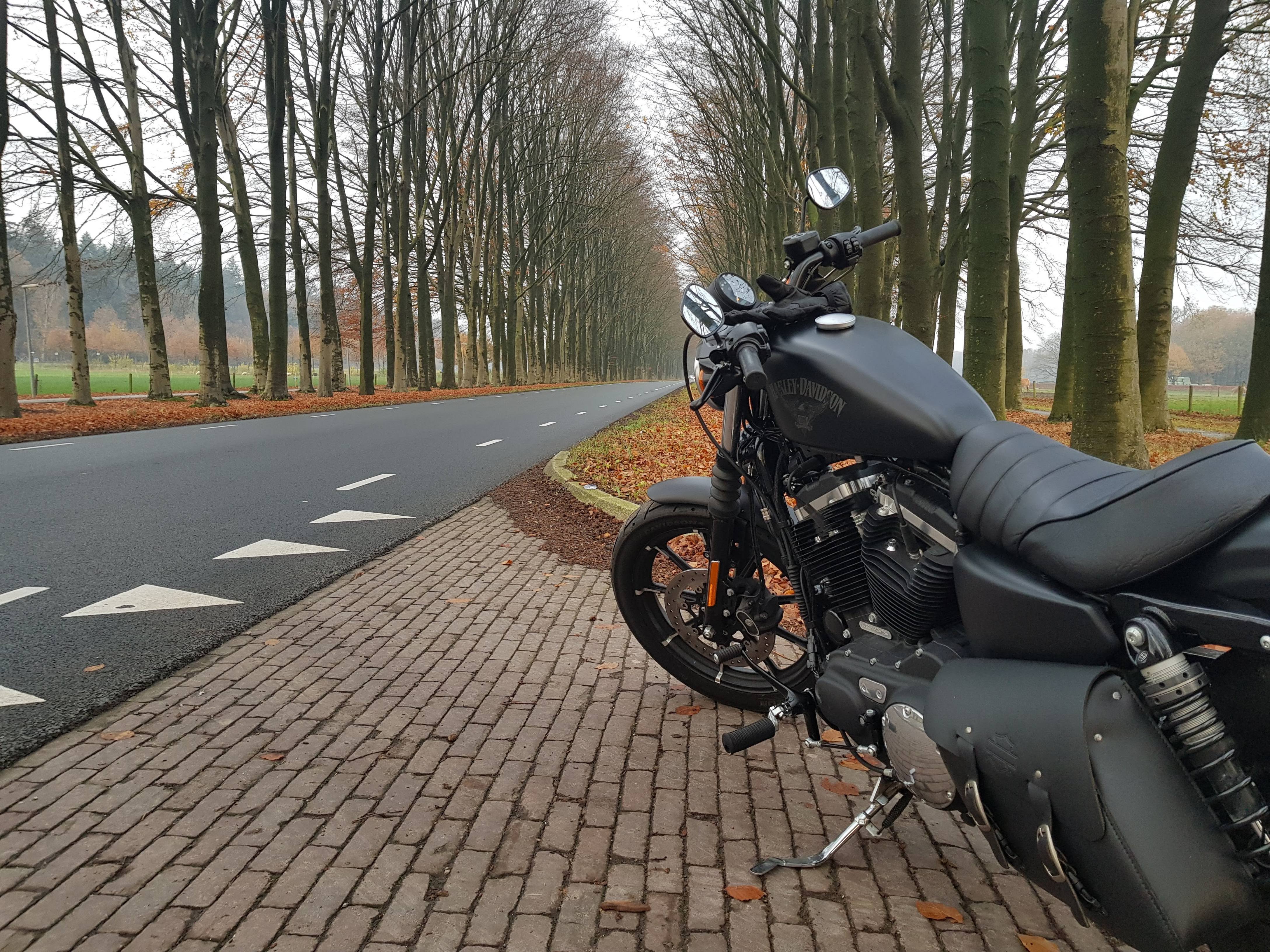 Afbeeldingslocatie: https://tweakers.net/i/q0uxu62FI7zwBQNyDcSdpI0dU6g=/full-fit-in/4920x3264/filters:max_bytes(3145728):no_upscale():strip_icc():fill(white):strip_exif()/f/image/J8RCNSMvG0nawcFcj8a1lSDy.jpg?f=user_large