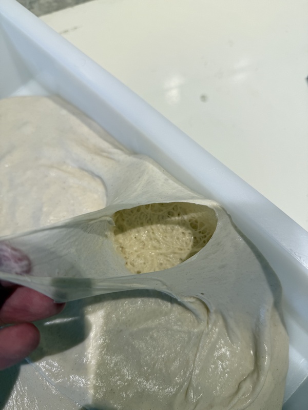 Afbeeldingslocatie: https://tweakers.net/i/q28qdTuAHX-KPg87XRmoGZYnYME=/x800/filters:strip_icc():strip_exif()/f/image/XFKolxt6DXS4KvZ9L6U98dcx.jpg?f=fotoalbum_large