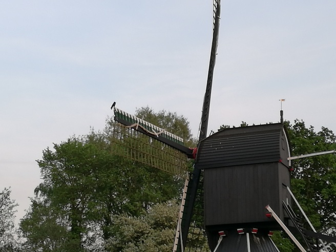 Detail volledig ingezoomd - camera P9