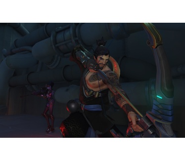 Overwatch Collector's Edition, Windows