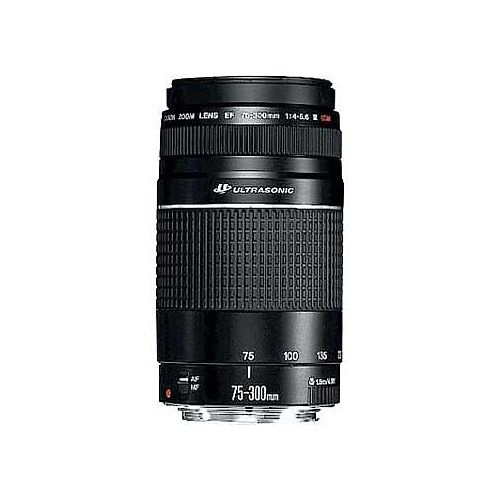 Canon Ef 75 300mm F 4 5 6 Iii Usm Kenmerken Tweakers