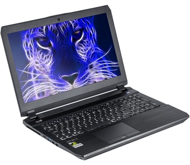 Clevo P650HS-G