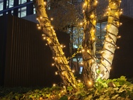 Cameravergelijking - 2x zoom