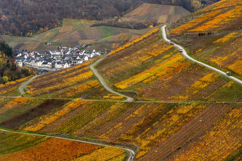 Afbeeldingslocatie: https://tweakers.net/i/qAKO8FGx7XbWPBuaeH6IQFVMFss=/800x/filters:strip_icc():strip_exif()/f/image/FaJ1W0m5UAAkOANETYleh2vq.jpg?f=fotoalbum_large