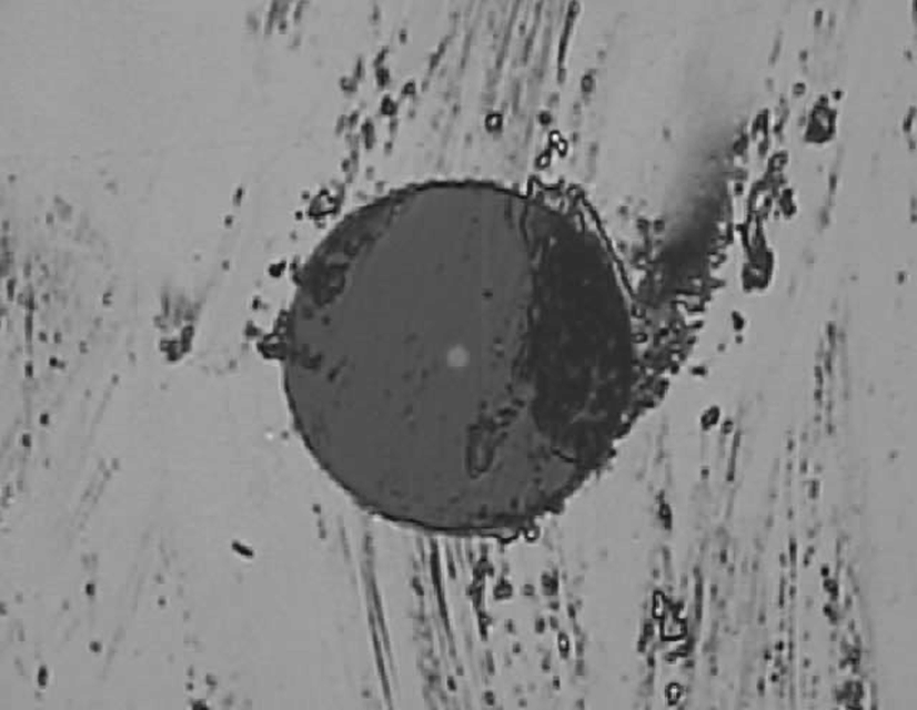 Afbeeldingslocatie: https://tweakers.net/i/qCZ_VrX-SrqtljWAmieYjQcku04=/full-fit-in/4000x4000/filters:no_upscale():fill(white):strip_exif()/f/image/YKedczCdiVMYroLl51OQyYIx.png?f=user_large