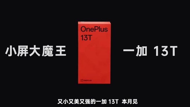 OnePlus 13T