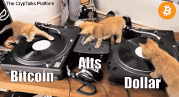 Afbeeldingslocatie: https://tweakers.net/i/qFn4QiSeEmgJQ_WG3EKLZmj7Z9o=/fit-in/4000x4000/filters:no_upscale():gifsicle():strip_exif()/f/image/LMz9gqiAwraDMyb8fe3MPCVr.gif?f=user_large